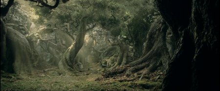 Лес Фангорн Властелин колец