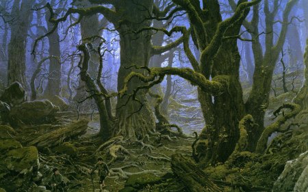 Лес Фангорн Властелин колец