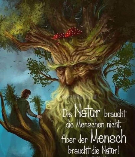 Энты Толкиена