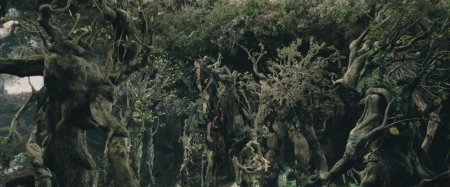 Фангорн Властелин колец