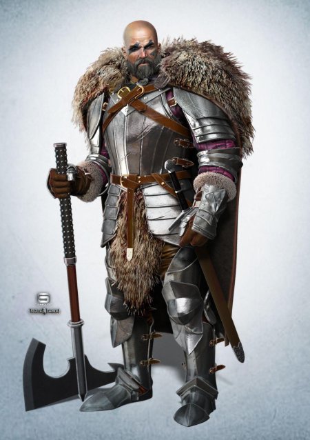 Ларп доспех Викинг