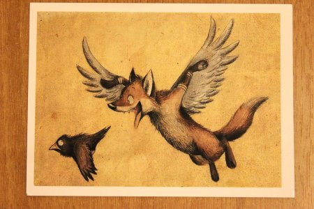 Лисы кульпео Фокс