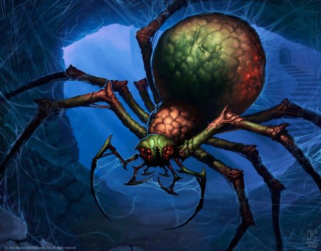 Гигантский паук ДНД