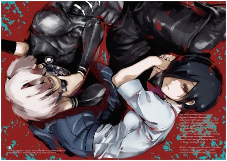 Токийский гуль артбук zakki