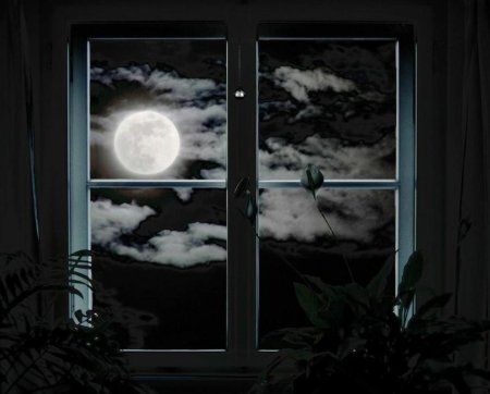 Ночное окно