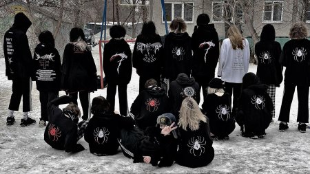 Кофта с пауком