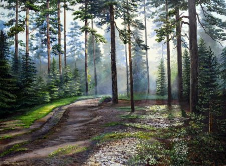 Шишкин дорожка в лесу