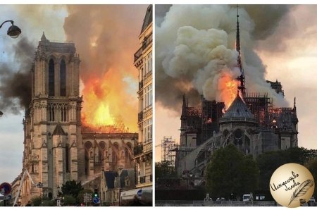 Париж собор Парижской Богоматери пожар
