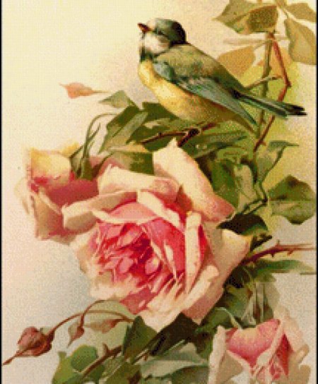 Катарина Кляйн птицы