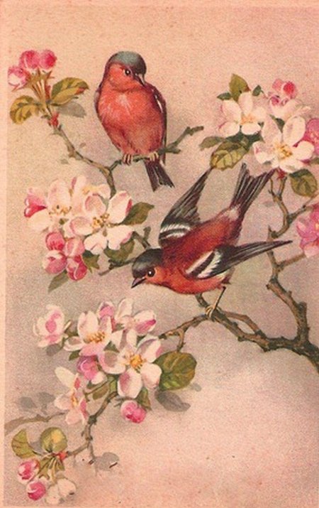 Птицы для декупажа