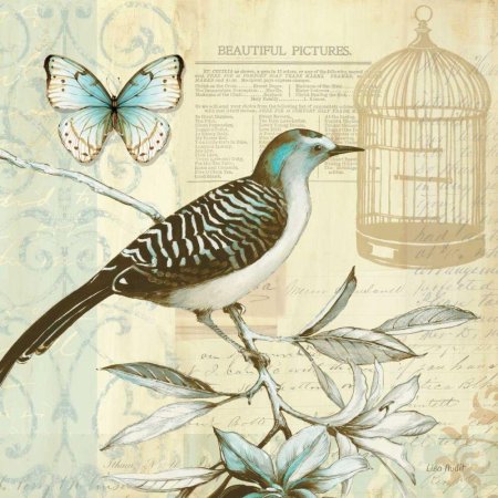 Daphne Brissonnet птицы