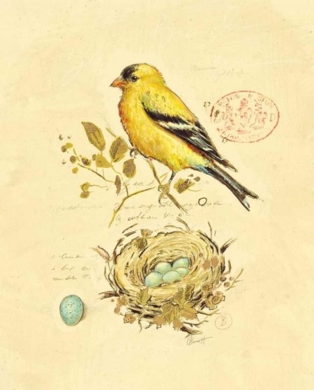 Винтажные птицы