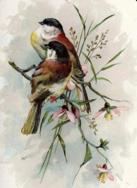 Катарина Кляйн картины птицы