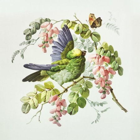 Птицы для декупажа