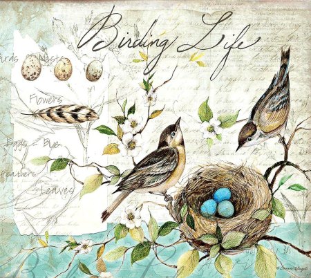 Птицы в винтажном стиле