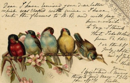 Птицы для декупажа