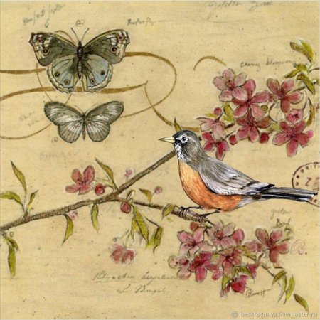 Птицы в винтажном стиле