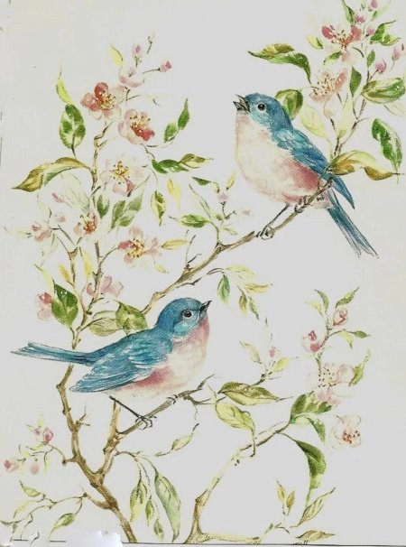 Шинуазри птицы