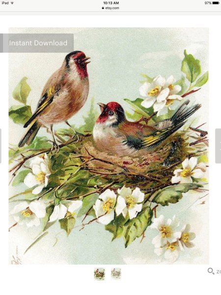 Винтажные птицы