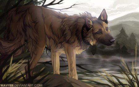 Хроники стаи Бруно