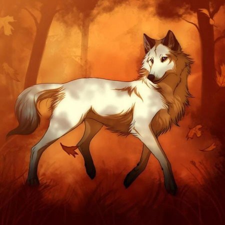 WILDCRAFT аниме волк