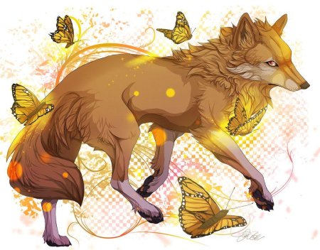 Рыжий волк в вилд крафт