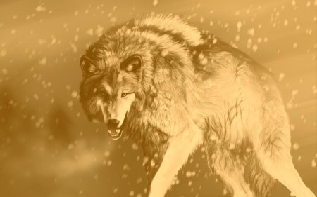 Волк рисунок