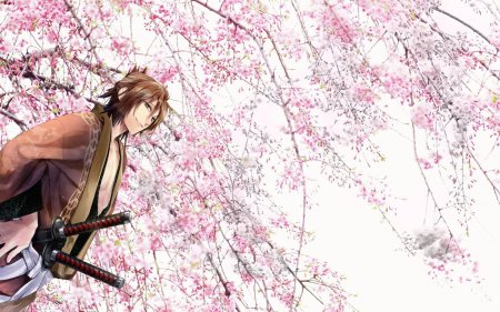 Сакура аниме Самурай