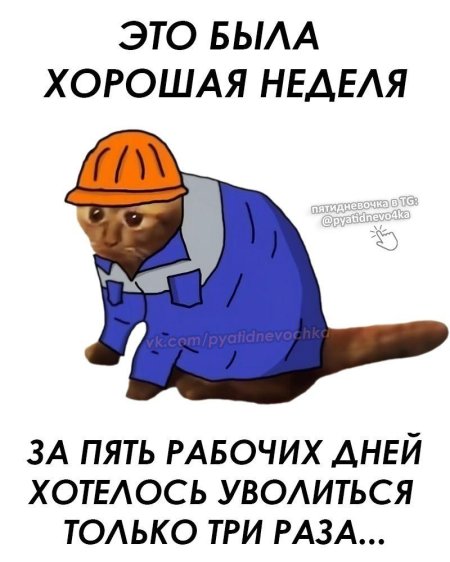 Кот работяга мем