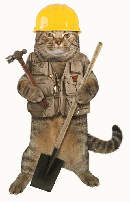 Кот работник