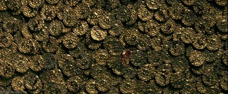 Ацтекское золото пираты Карибского моря