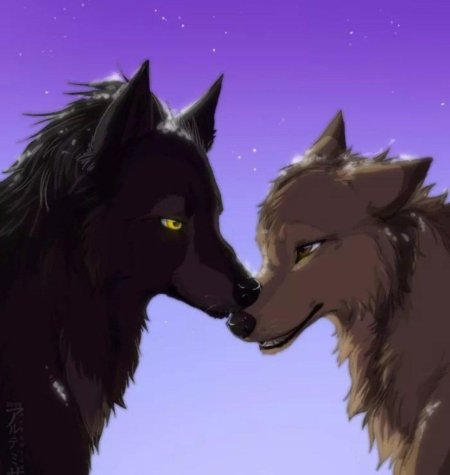 Волки аниме