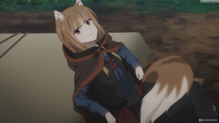 Волчица и пряности торговец встречает мудрую волчицу мультсериал с г