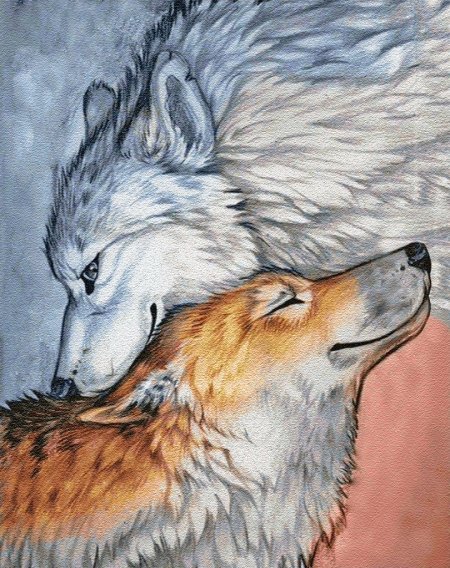 Волка рисунок