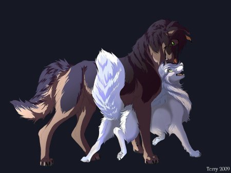 Волки аниме