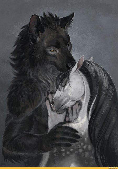 Волки любовь