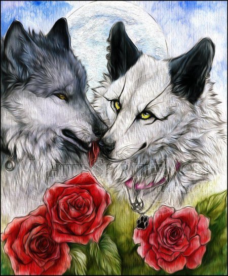 Волк с волчицей