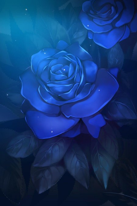 Роза голубая