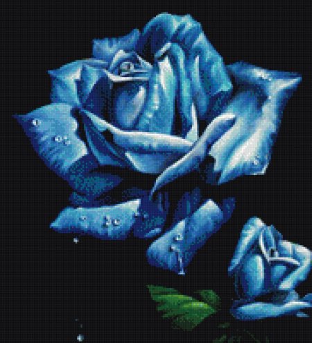 Синяя роза