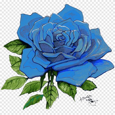 Синяя роза