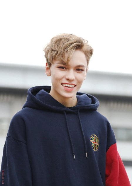 Вернон севентин