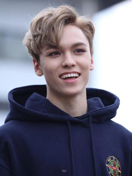 Вернон Seventeen