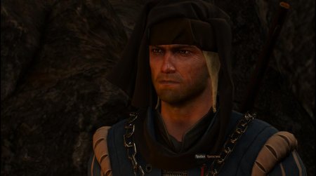 Вернон Роше Ведьмак 3