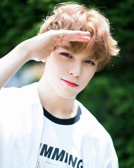 Чхве Хансоль Вернон