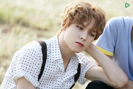 Vernon Seventeen