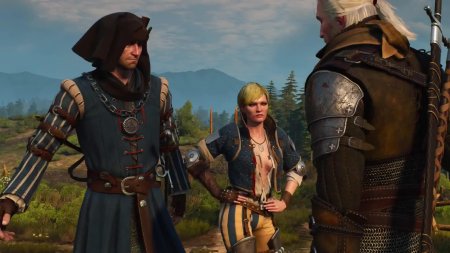 Охота за младшим ведьмак прохождение