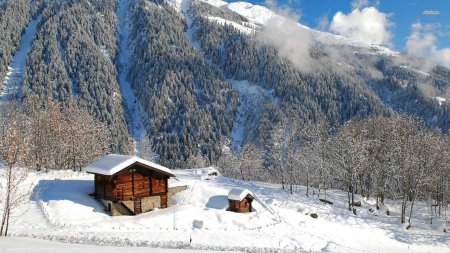 Гузерипль зимой