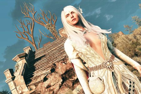 Лара доррен ведьмак