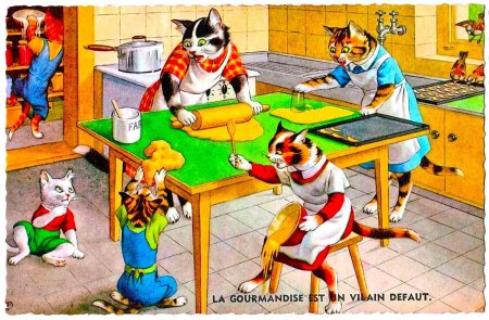 Планета кошек