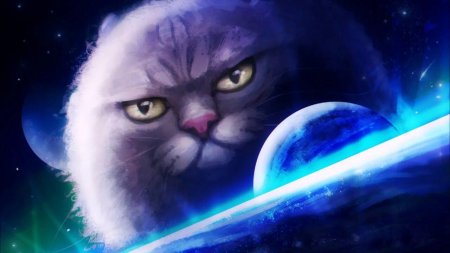 Космический кот